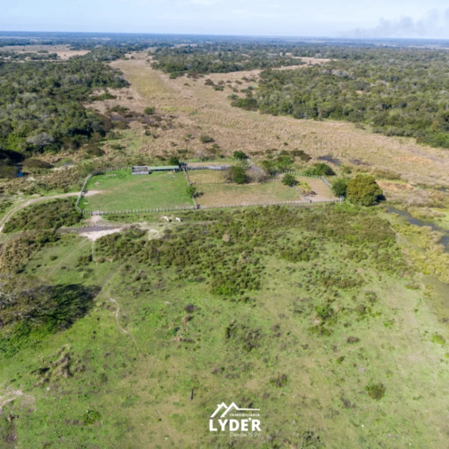 Campo en venta de 1200ha ubicado en La Eduvigis - Imagen 3