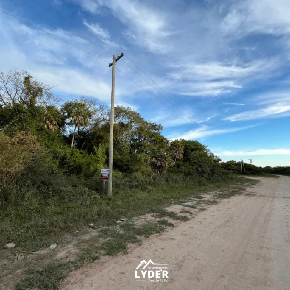 Campo de engorde 300ha ubicado en Vilelas - Imagen 2