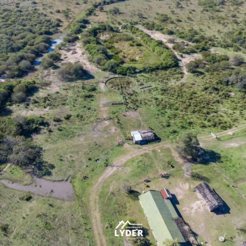 Campo en venta de 1200ha ubicado en La Eduvigis - Imagen 4