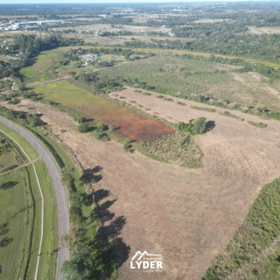 Terreno / Lote en venta de 9ha ubicado en Puerto Tirol sobre Asfalto - Imagen 5