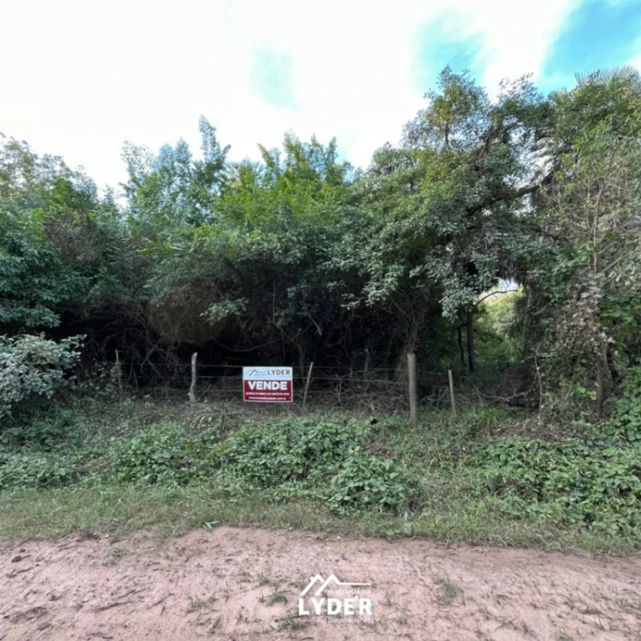 Campo de engorde 300ha ubicado en Vilelas - Imagen 1