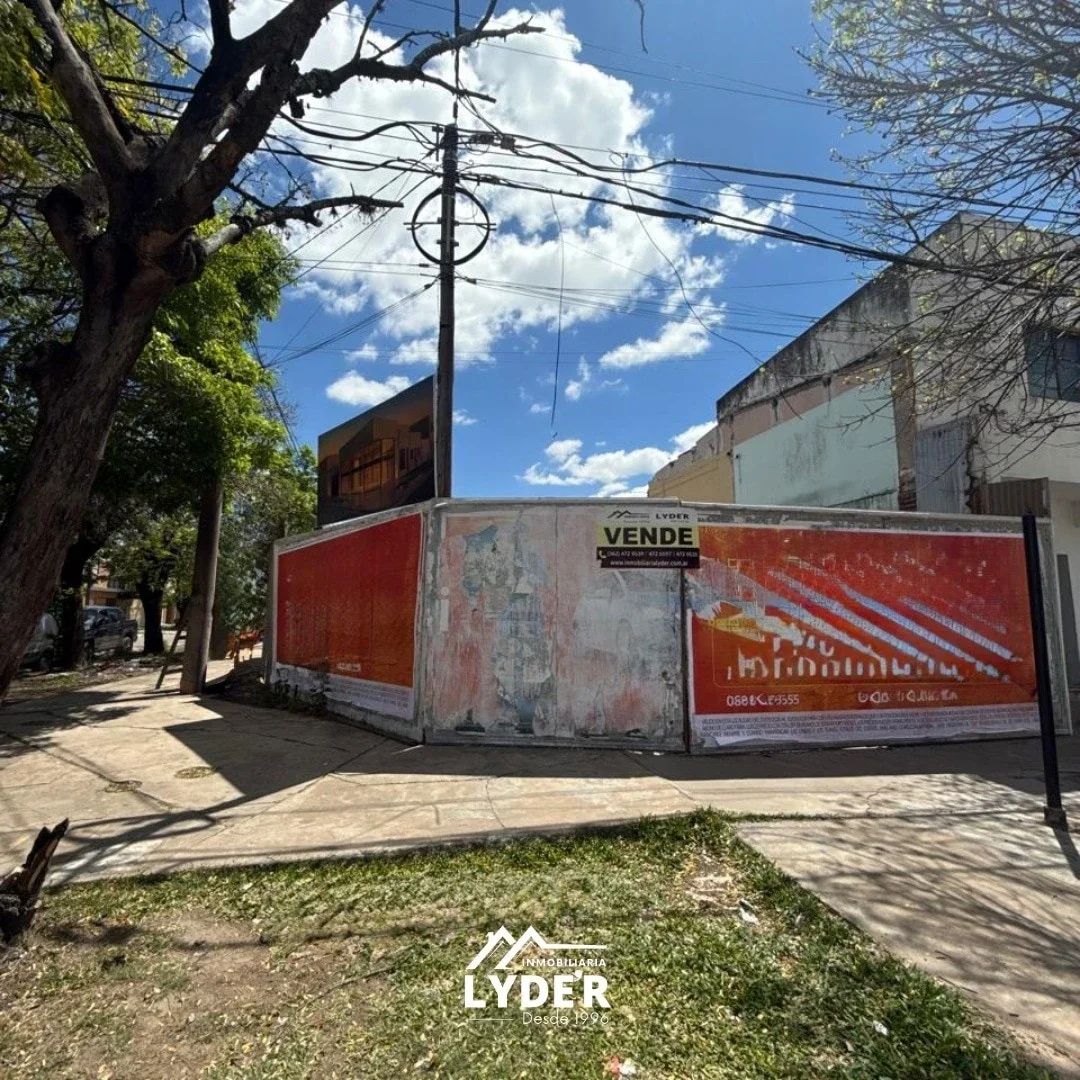 Terreno en venta sobre Av. San Martin - Imagen 2